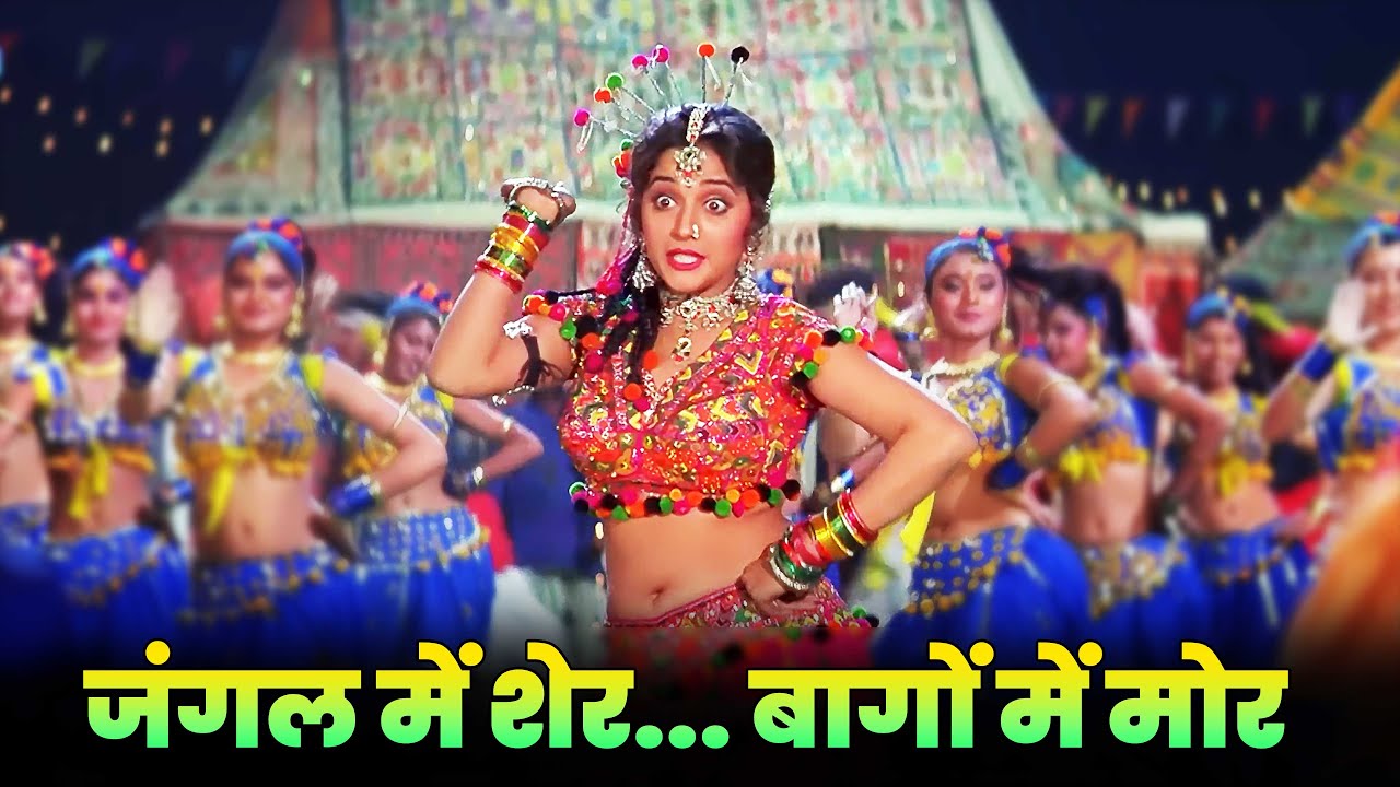 Jungle Mein Sher Bagon Mein Mor – Alka Yagnik | Madhuri Dixit | Full Song | 90s Hindi Dance Hit