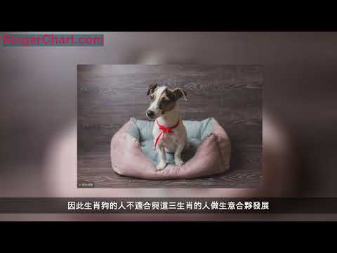 家有狗狗人，1月「一喜擋三災」，重點強調70年48歲狗，還不接！