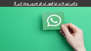 online psychology bachelors degree-You will love this new feature of WhatsApp