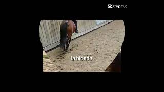 Granoetmoi And Illico And Me