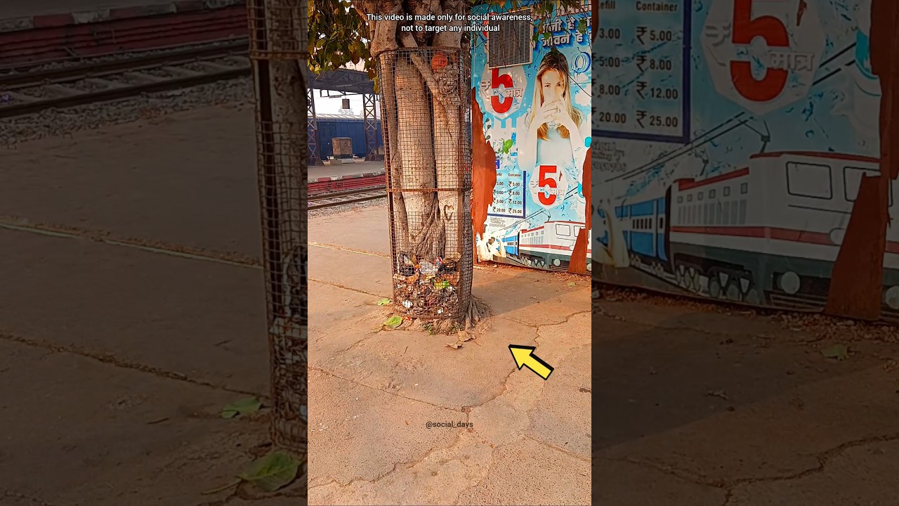 This Is the Condition of a Railway Station Dustbin 😥