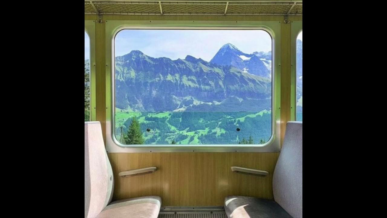 (free) tyler, the creator x varnish la piscine x luidji TYPE BEAT “wes