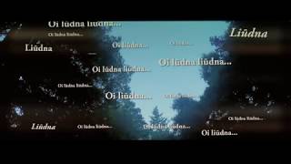 Gražvydas Sidiniauskas 'Oi Liūdna Liūdna' Lietuvos partizanų daina (FOLKŠOKAS)