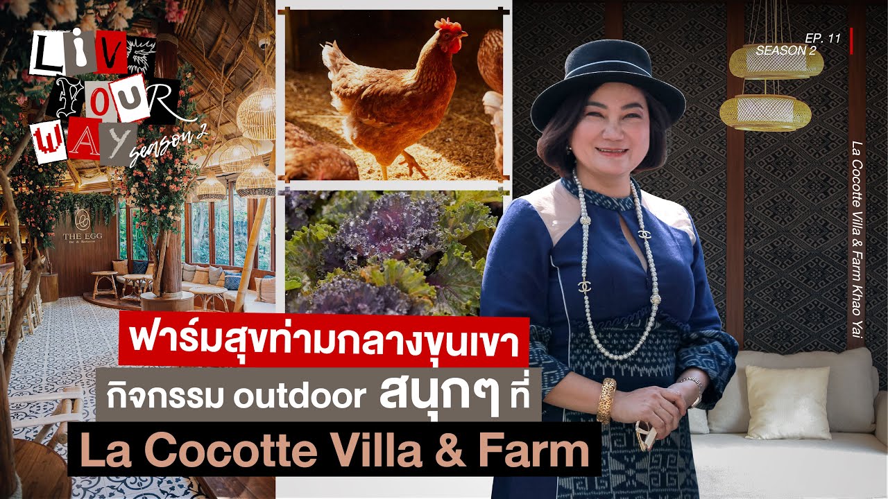 [EP.11] ฟาร์มสุขท่ามกลางขุนเขา กิจกรรม Outdoor สนุกๆ ที่เขาใหญ่ | LIVE YOUR WAY SEASON II