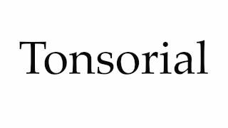 How to Pronounce Tonsorial