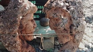 morning view Julio idad's paradise ||garden tour