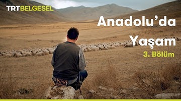 Anadolu