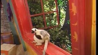 Zoboomafoo Dont Fence Me In hq Part 22