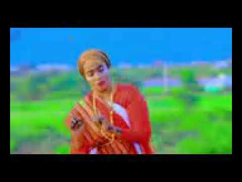 New somali music