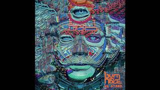 Burn in Noise vs Electric Universe - The Future