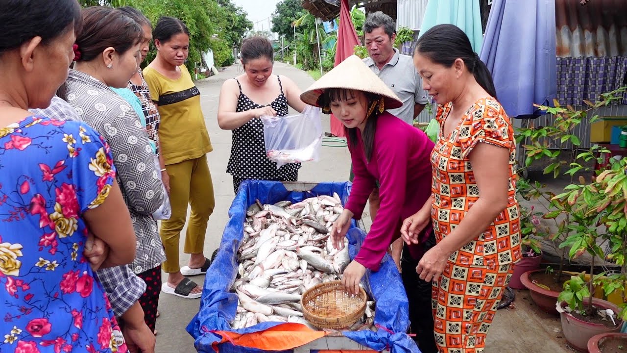 Cha Tát Ao Cá được Anh Ở Mỹ Mua 80 Kí Cá Tặng cho Bà Con ở Xóm | HQ #1221