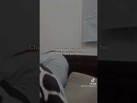 Video Chuông báo thức dậy đi ông cháu ơi mohican chéo - youtube