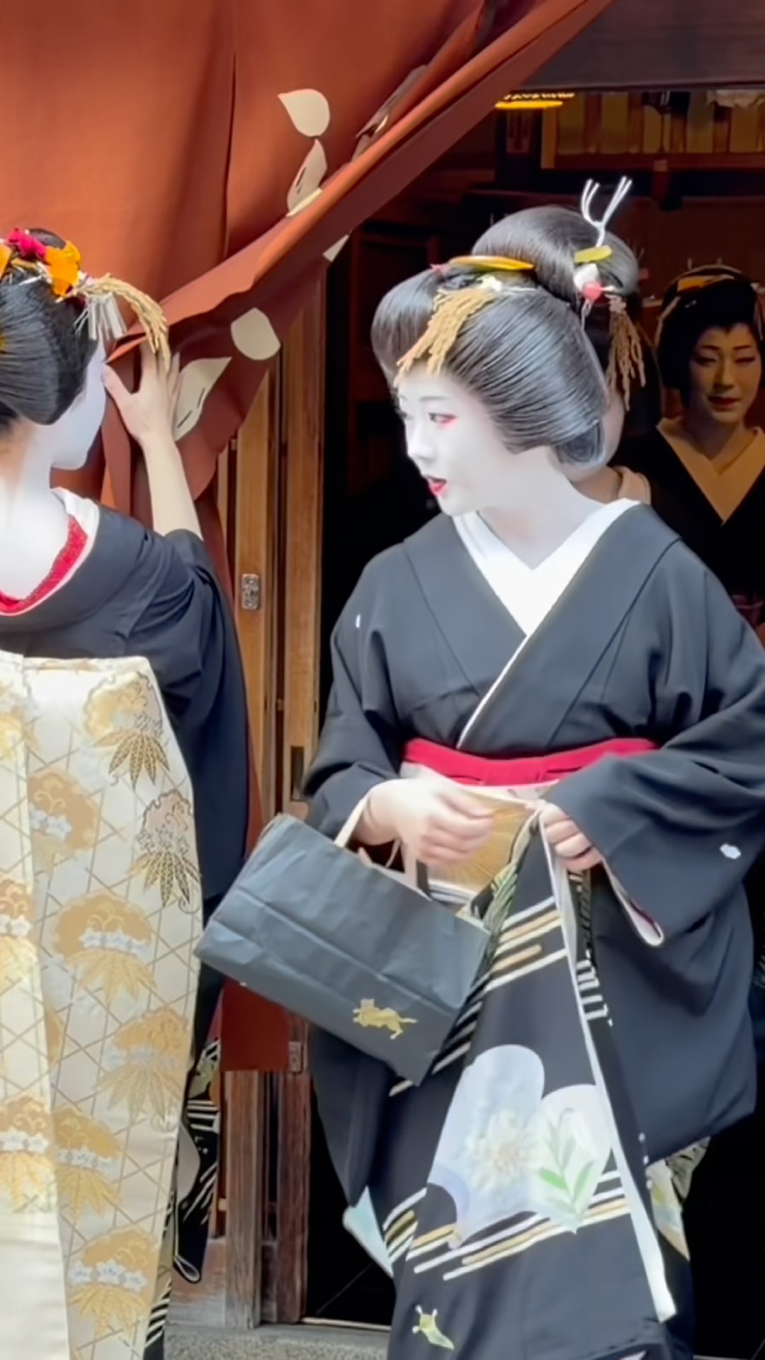 きょうたさんせんよう 京都の街中が華やぐ❗️花街のステキなお姉さんたち #京都 #芸妓 - YouTube