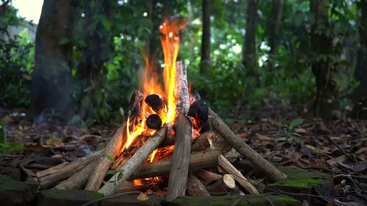 Nature Campfire Sounds for Deep Relaxation