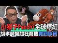 小猴子Panchi全球爆紅  胡孝誠揭超狂商機賣到缺貨【新聞挖挖哇】