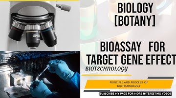 BIOASSAY FOR TARGET GENE EFFECT/BOTANY/BIOLOGY/PRINCIPLE AND PROCESS OF BIOTECHNOLOGY/TN-31 CREATION