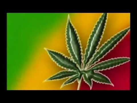 Zona Ganjah - Fuma del Humo y Sana (Marihuana)
