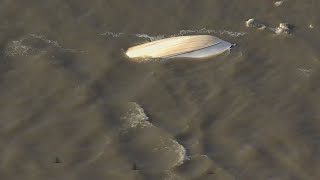 2 rescued, 1 remains missing after boat capsizes near Lake Houston Dam