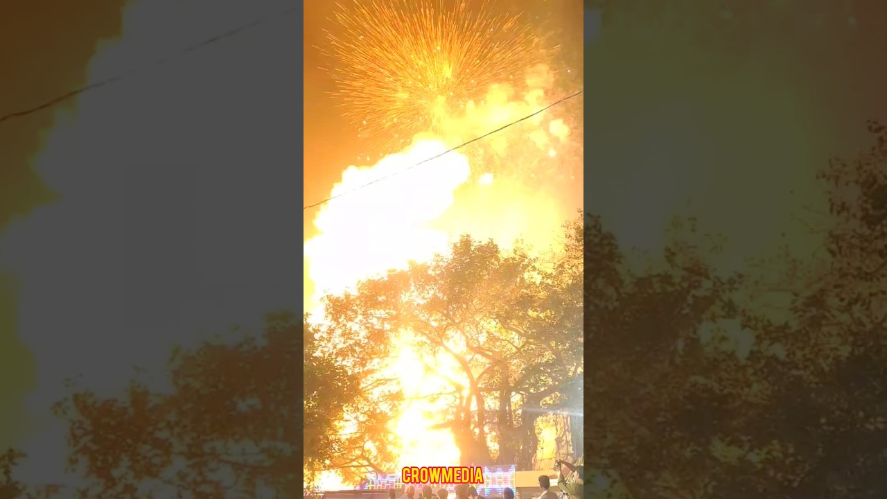 കുറിഞ്ഞി വെടിക്കെട്ട് കണ്ടു  ഞെട്ടി ഉഗ്ര സ്ഫോടനം