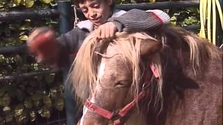 Julie au Poney-club