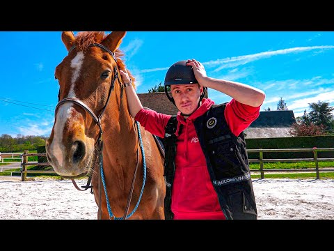 Vidéo: Apprendre à monter à cheval pour les débutants