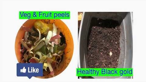Compost making: How to make healthy black gold at home