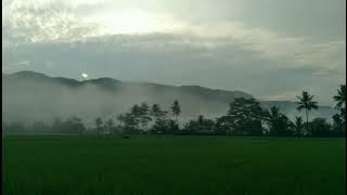 Story WA pagi hari | Cinematic 30 detik | Cinematic Video |  Aeshetic Alam | Sinematic estetic keren