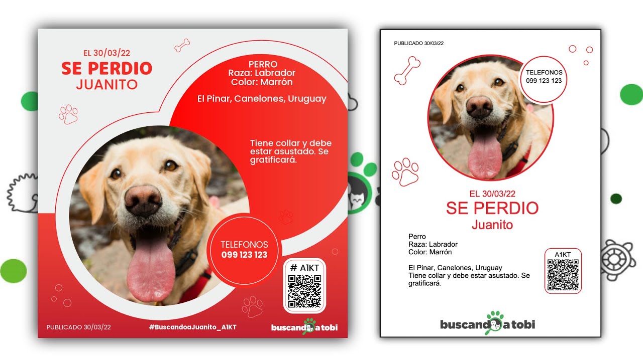 Crear cartel de mascota, perro o gato perdido en 1 minuto y ¡grátis