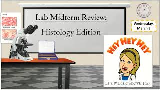 Lab Midterm Review (Histology Edition) - March 3 Net Worth