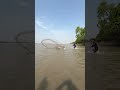 River Monster Finally Caught RiverMonster GiantFishCatch BigFishHunt FishingShorts ViralReels 
