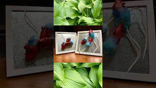 磁石で飾れるアート制作 #art #diy #癒し #睡眠導入