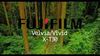 Fujifilm Velviavivid Footage 4K