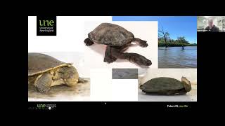 Let's Talk: Saving Our Wetlands webinar