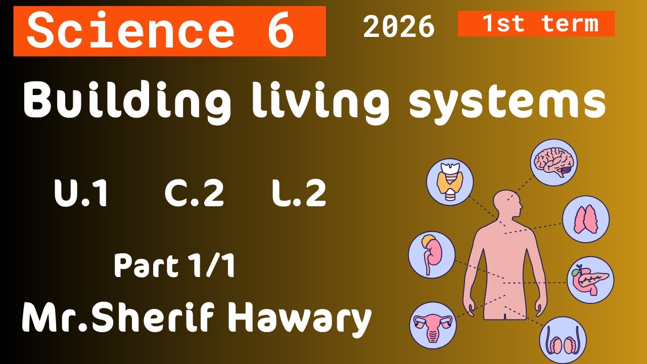 Science | Building living systems | Grade 6 |Unit 1 -Concept 2 -Lesson ...
