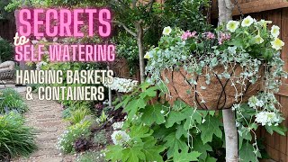 NEVER hand water again! WHAAAT? My #selfwatering secrets & #containergardening #hangingbasket ideas!