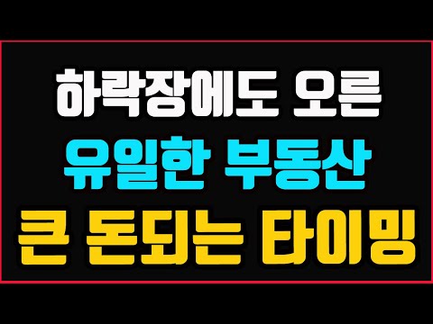 부동산 해결사 <strong>솔로몬</strong>