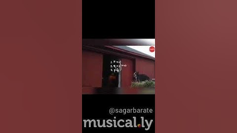 How cats calculate before jumping