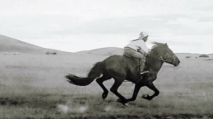 Шашты кискаға қарап, жұлқылаңыз Шашты кискаға қарап, жұлқылаңыз