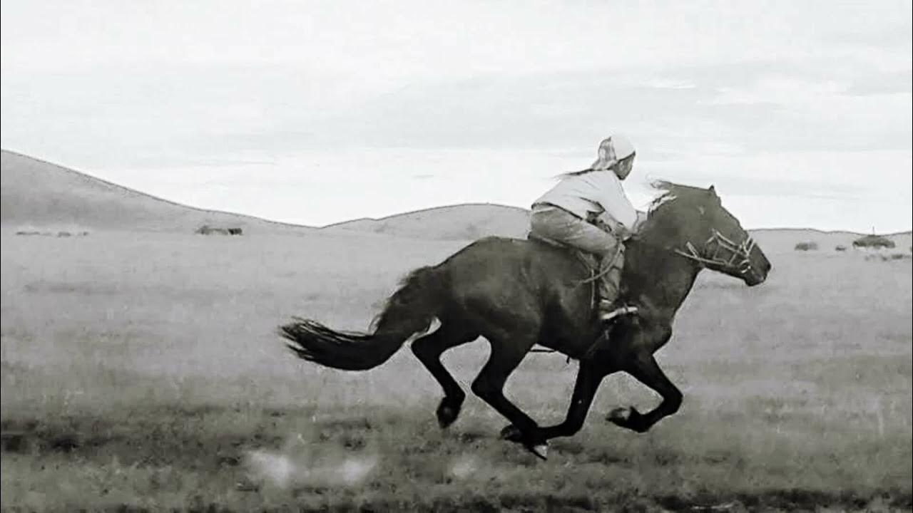 Ол жынданып, телефонмен сөйлесіп жатыр видео Үлкен орыстар