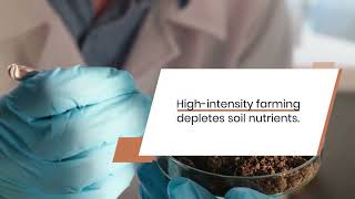 Chelated-Iron Micronutrient Market: A Key Driver for Sustainable Farming Solutions