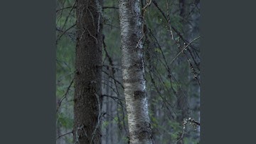 A Constant Feel of Uncertainty (Unfinished)