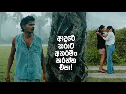 ආදරේ කරාට අතරමං කරන්න එපා! 😔 | Delft (ඩෙල්ෆ්ට්)