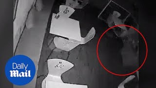 Police armed with tasers called to cafe to tackle a GHOST - Daily Mail