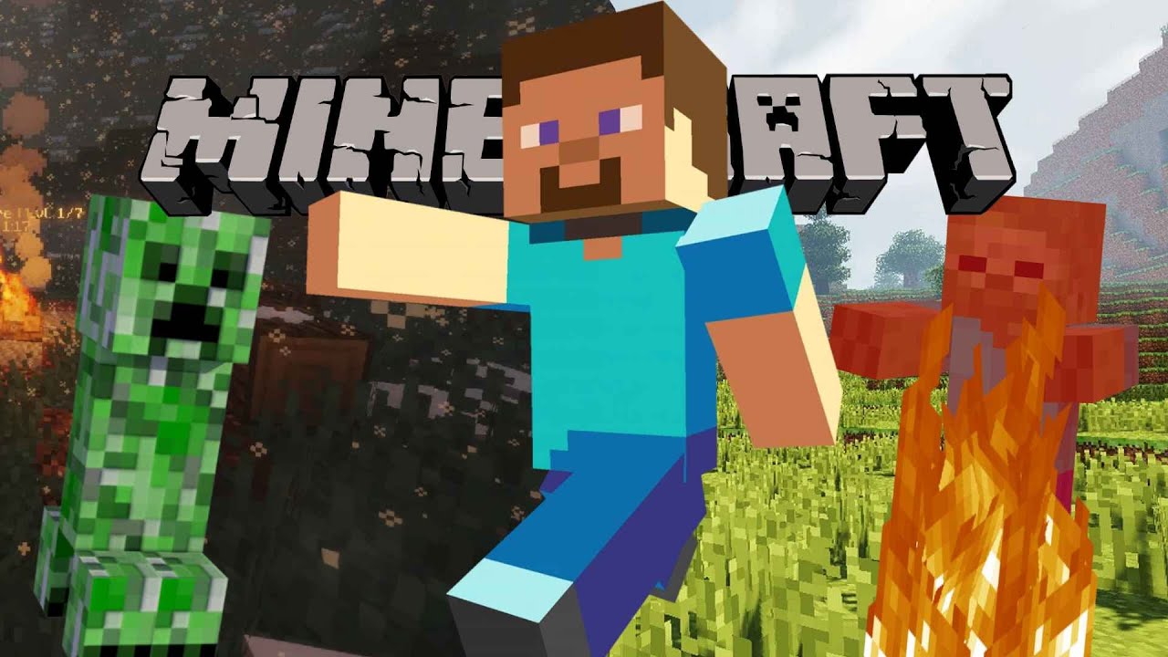 Minecraft : The Cube Game