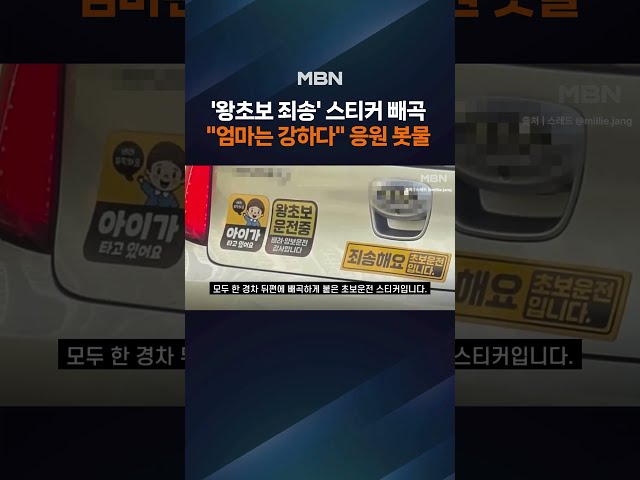 "죄송해요, 초보입니다"…스티커 도배한 경차에 뭉클한 이유