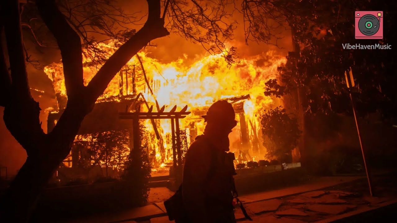 From Ashes to Hope: A Phoenix's Song 🎵