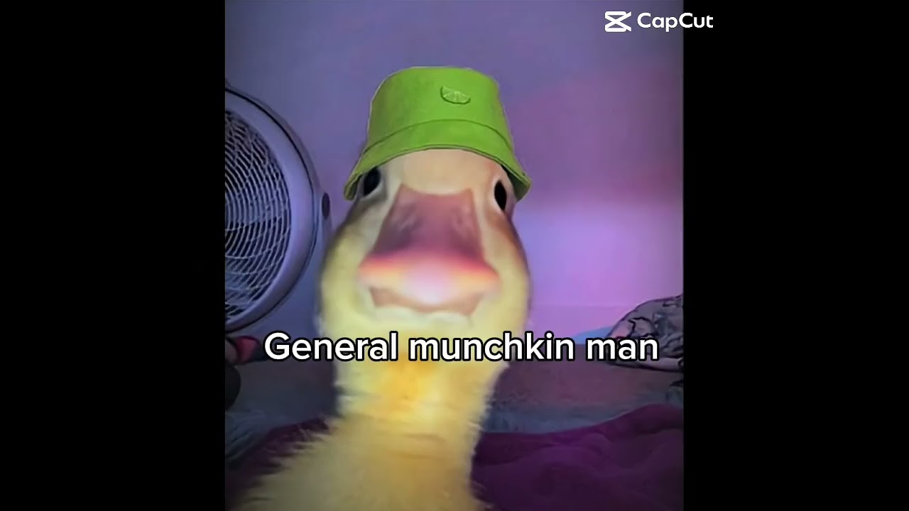 DONT mess with my gang