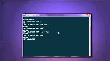 Redis Database Transaction Commands
