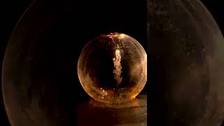 Plasma Fractals in Glass Globe