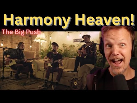 Better than STING? The Big Push - English Man In New York Live - Pro Singer Vocal analysis